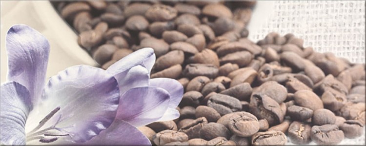 Płytka ścienna dekoracyjna dekor do Kuchni Kawa Opoczno PENNE Coffee 1 Centro 20x50